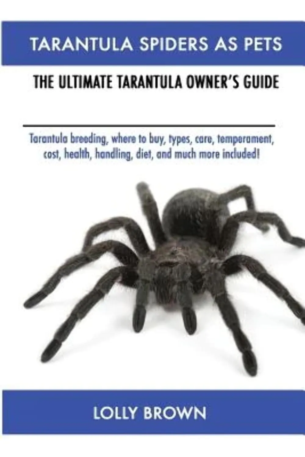 23656 tarantula coloration