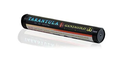 /img/23666-tarantula-gold-pre-roll-consumption.webp