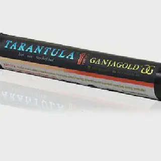 /img/23666-tarantula-gold-pre-roll-consumption.webp