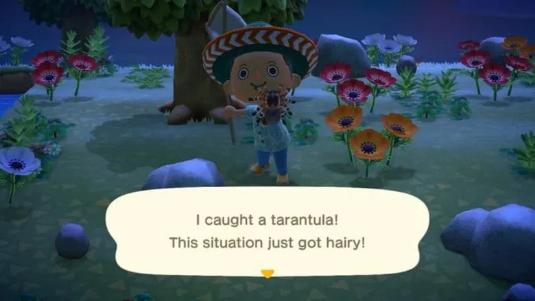 23669 animal crossing tarantula island layout