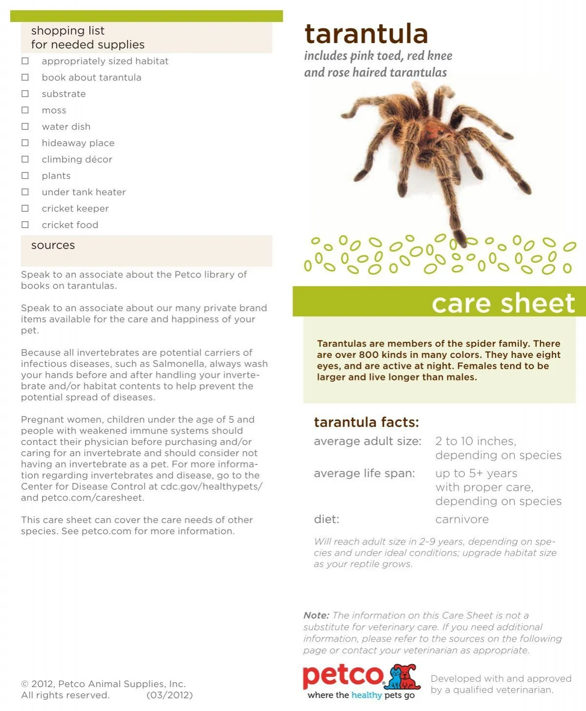 23675 brazilian blue tarantula water