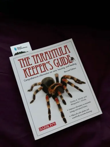 23694 tarantula feeding