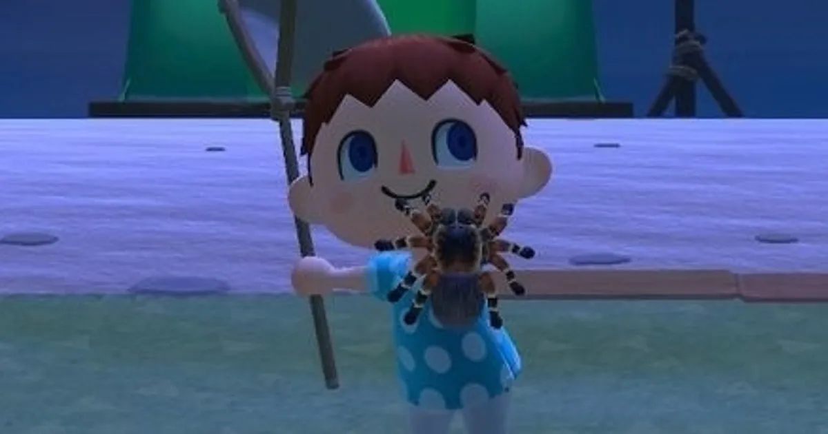 23707 animal crossing new leaf time of day