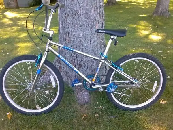 23709 tarantula 24 inch bmx