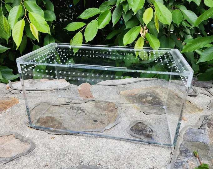 23710 tarantula enclosure etsy 3