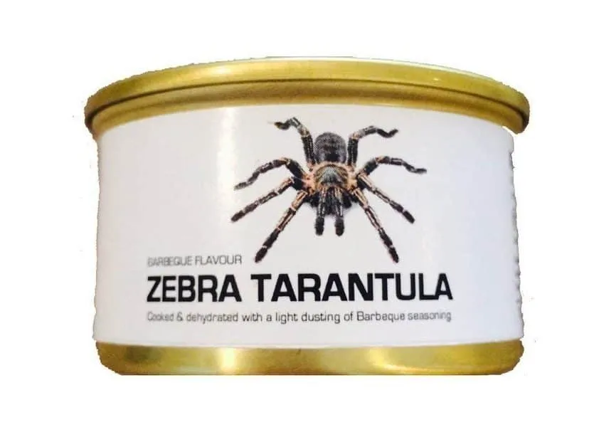 23725 tarantula enclosure ventilation