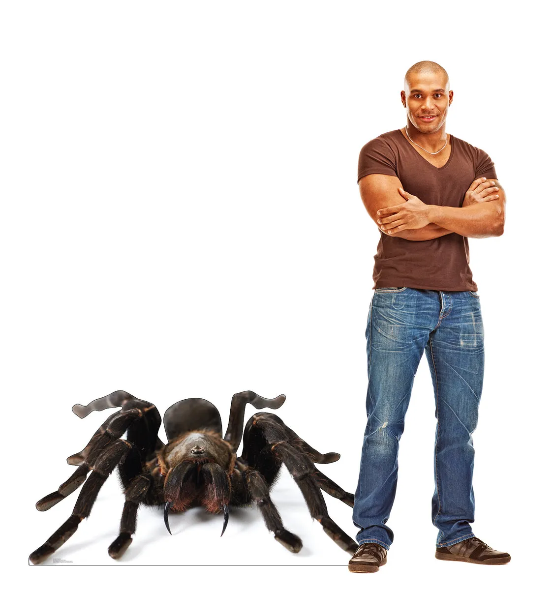 23741 tarantula overfeeding