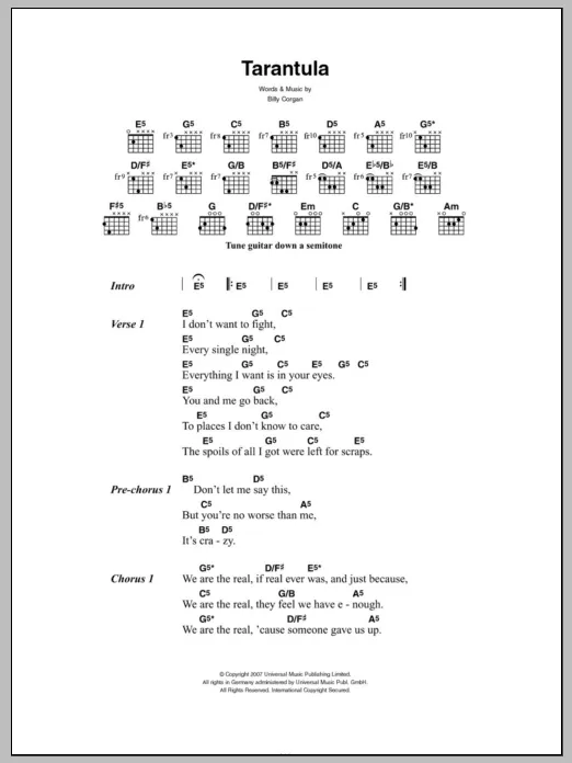 /img/23748-tarantula-song-legacy.webp