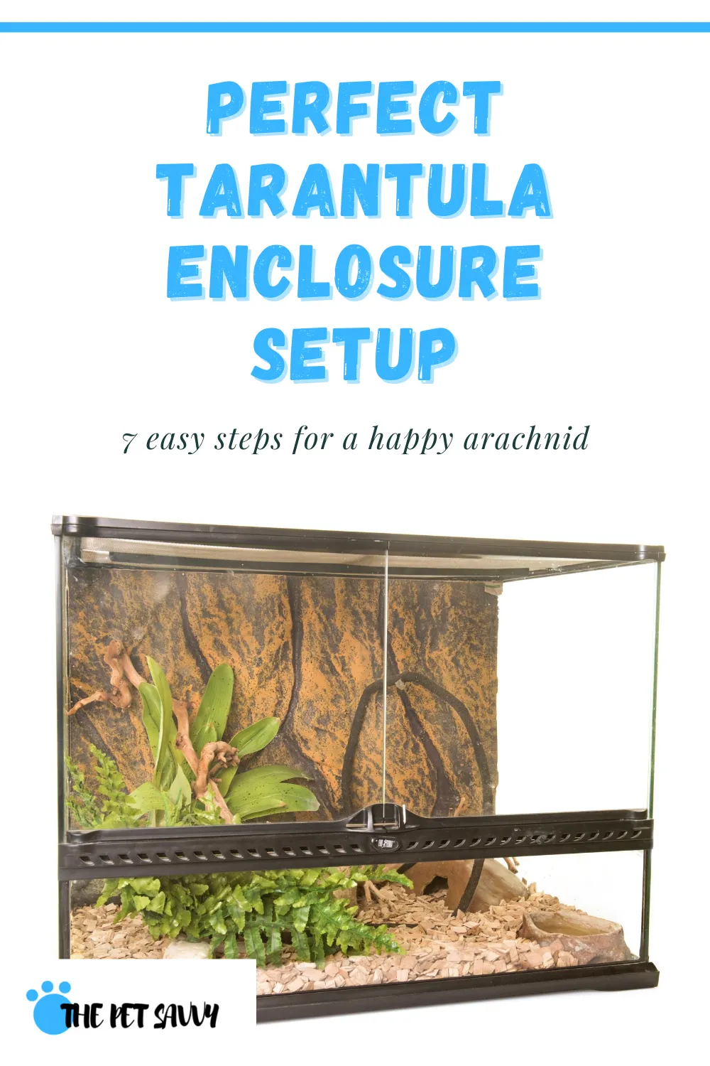 23756 rose hair tarantula cage setup 1