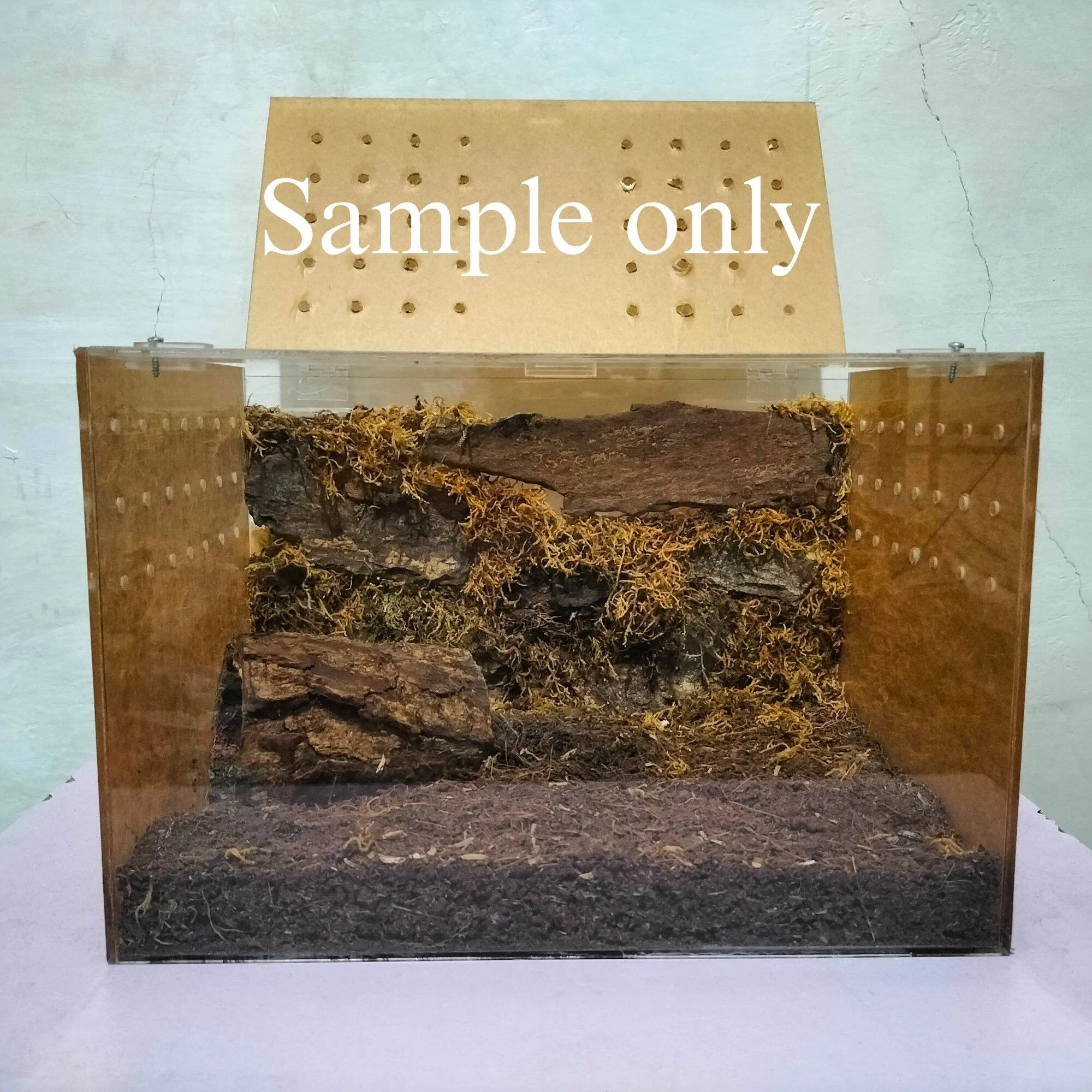 23772 tarantula enclosure lazada cleaning