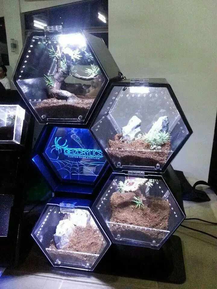 23772 tarantula enclosure lazada enclosure3