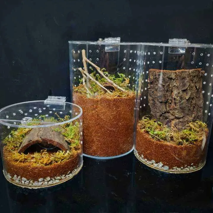 23772 tarantula enclosure lazada substrate