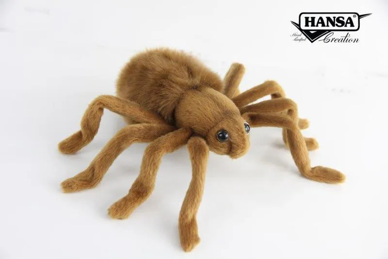 23774 brown tarantula spider predator