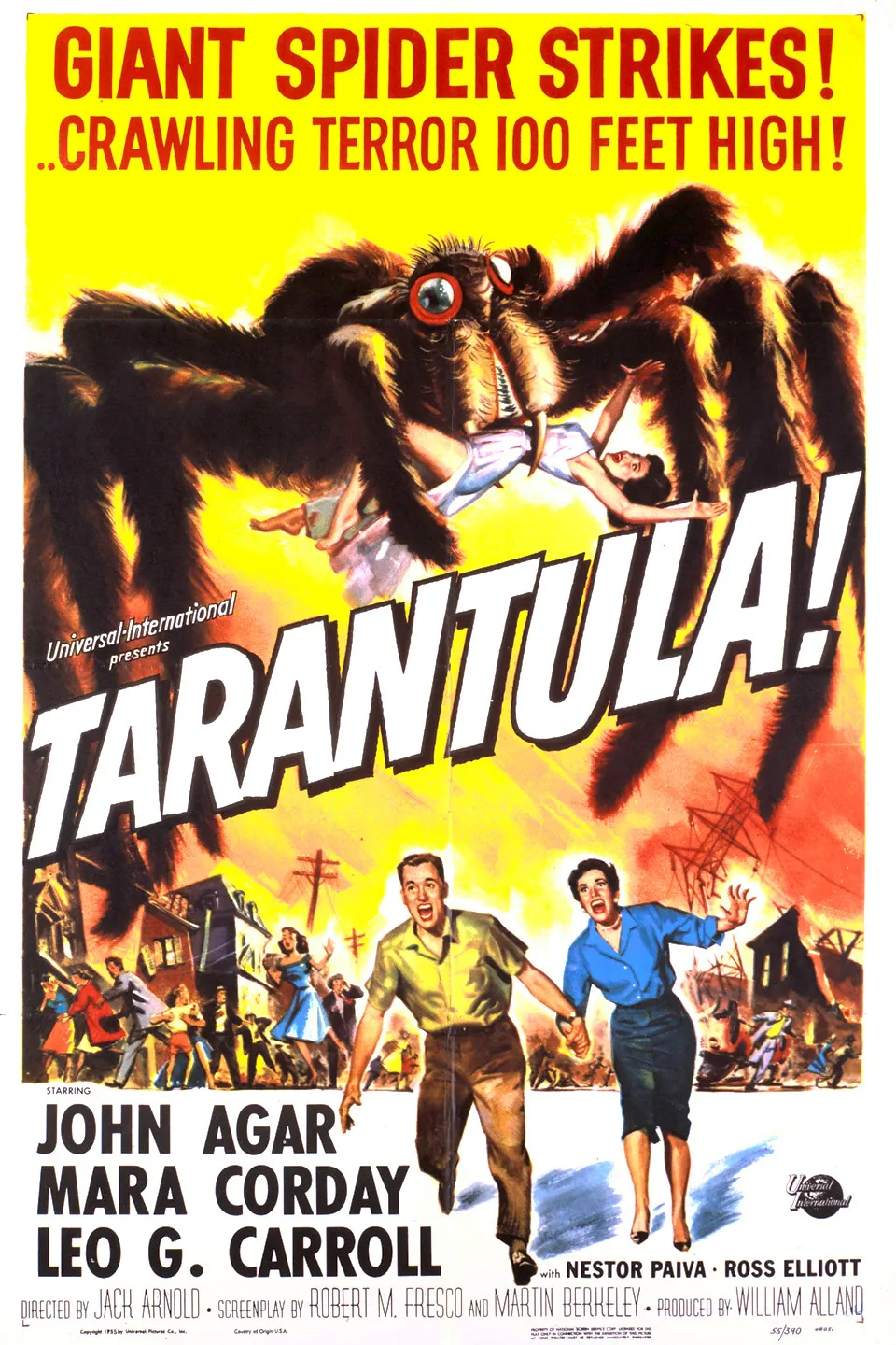 23781 novel tarantula conservation