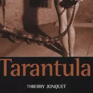 /img/23781-novel-tarantula-species-diversity.webp