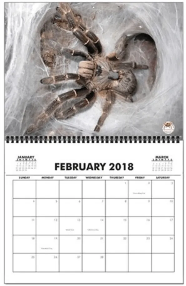 23783 tarantula temperature control