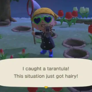 /img/23784-animal-crossing-sell-haul.webp