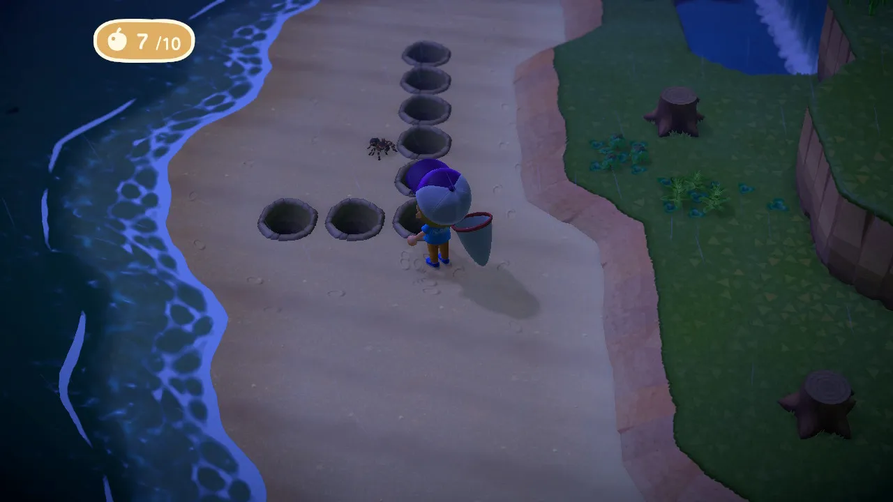 23784 animal crossing slow steady