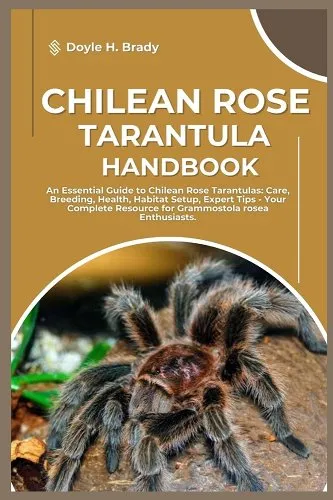 23798 chilean rose tarantula cleaning