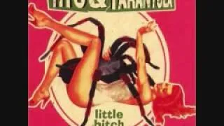 /img/23810-after-dark-video-image.webp
