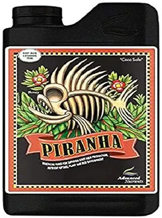 23822 piranha tank