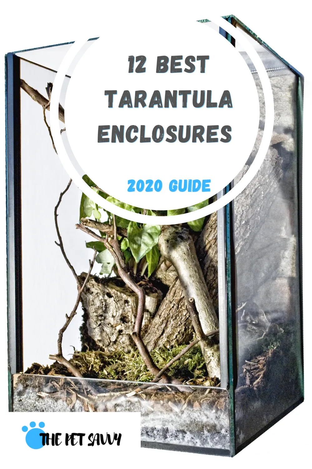 23837 acrylic tarantula enclosure