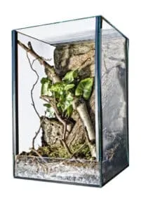 23837 glass tarantula enclosure