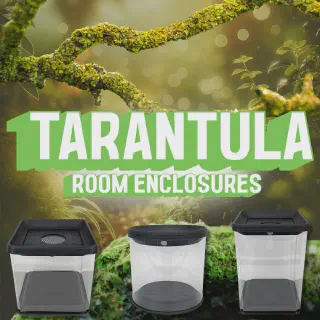 /img/23837-tarantula-humidity-control.webp