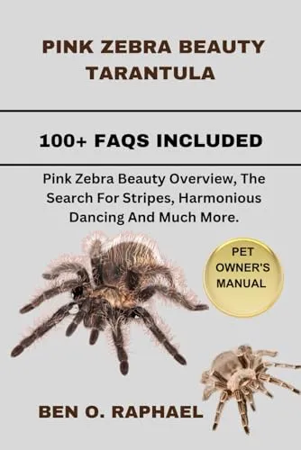 /img/23844-tarantula-health-check.webp