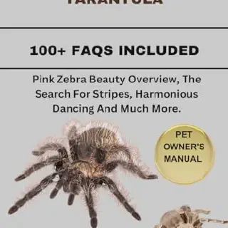 /img/23844-tarantula-health-check.webp