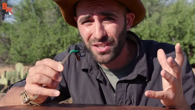 23848 tarantula hawk bite symptoms
