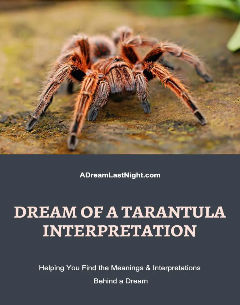 23849 tarantula dream islam deception