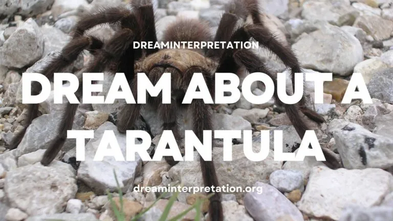 23849 tarantula dream islam enemies
