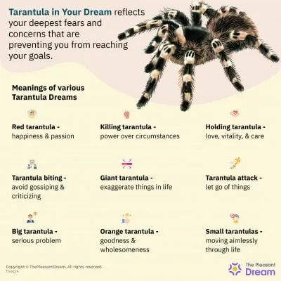 23849 tarantula dream islam fear