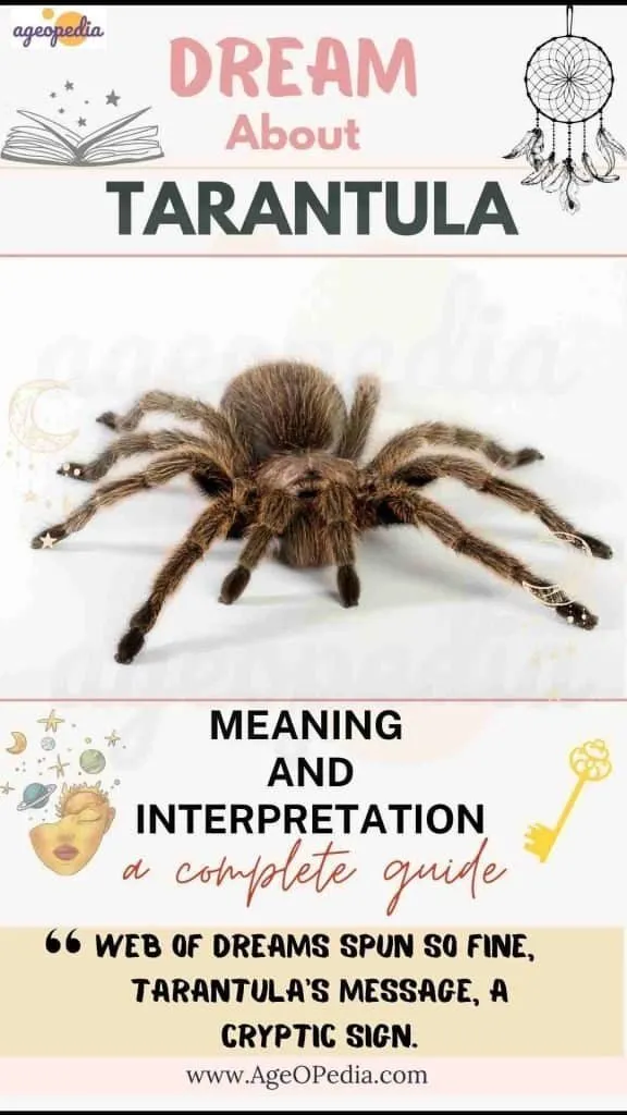 /img/23849-tarantula-dream-islam-seeking-guidance.webp