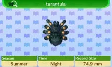 23852 animal crossing tarantula behavior