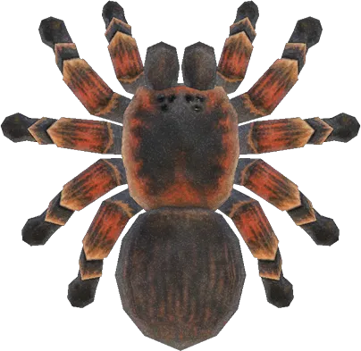 23852 animal crossing tarantula farm