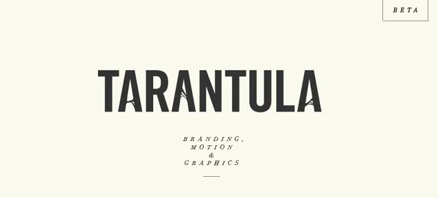 23856 tarantula holdings financial report