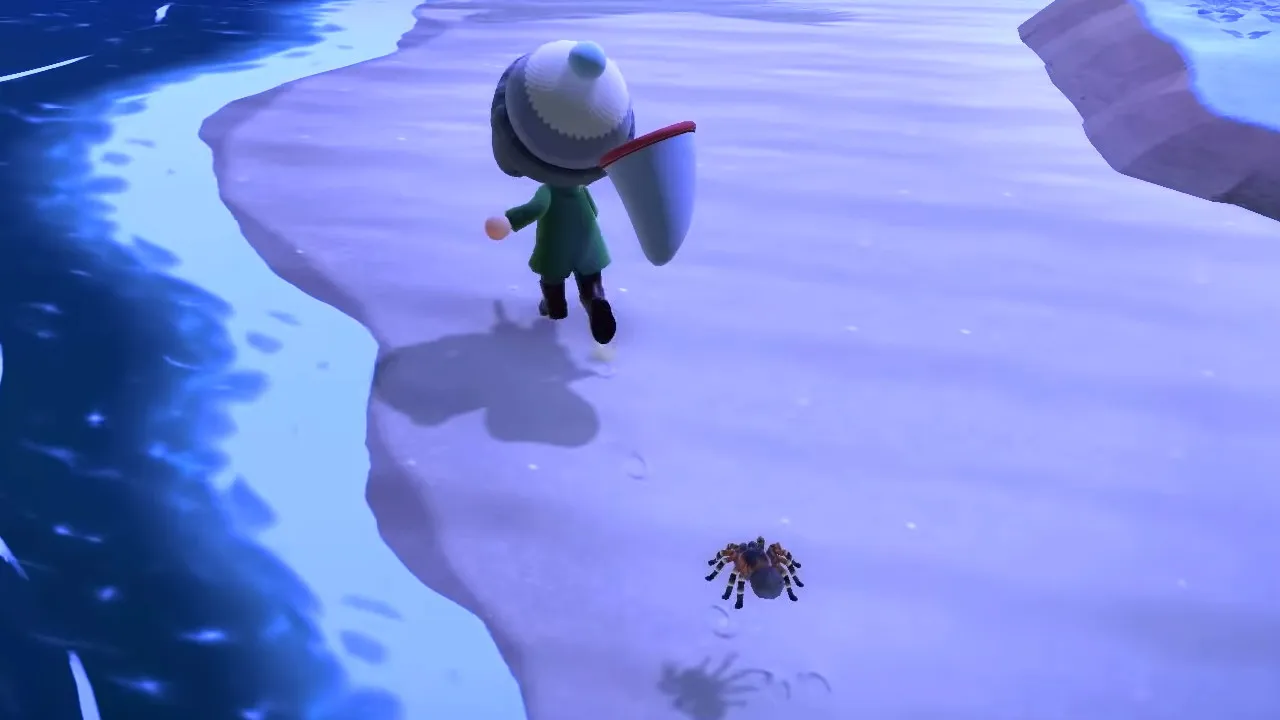 23860 catching tarantula