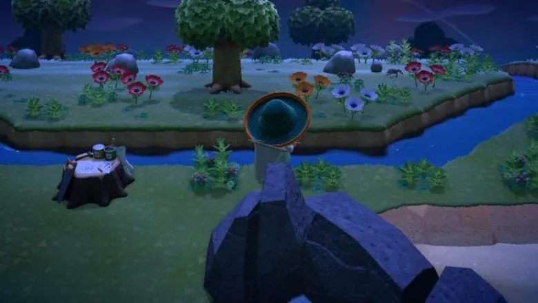 23860 tarantula island overview