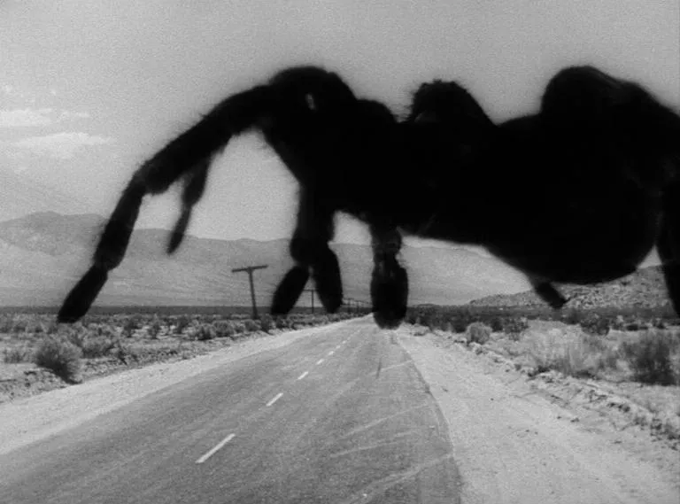 23872 eight legged freaks movie poster