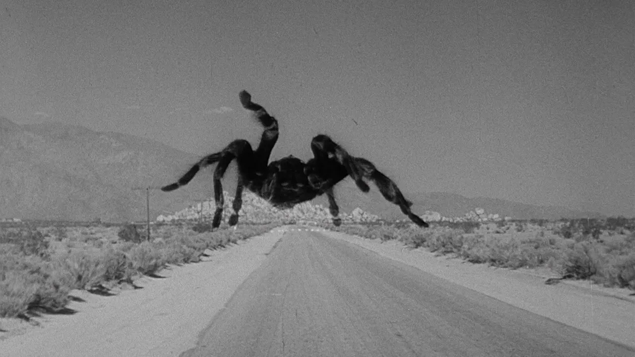 23872 kingdom of the spiders movie poster