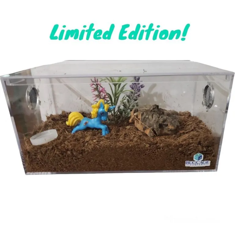 23878 tarantula in cage planning