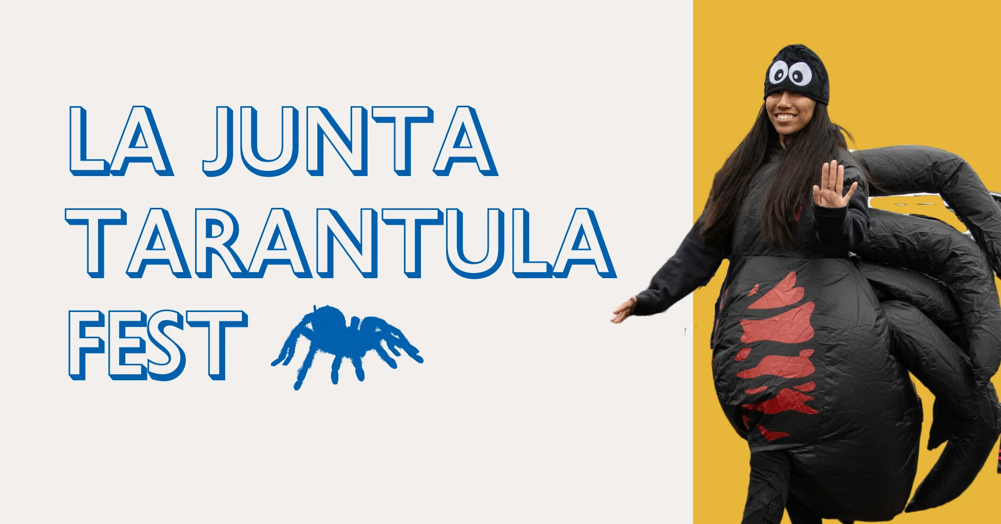 23882 tarantula photography tips