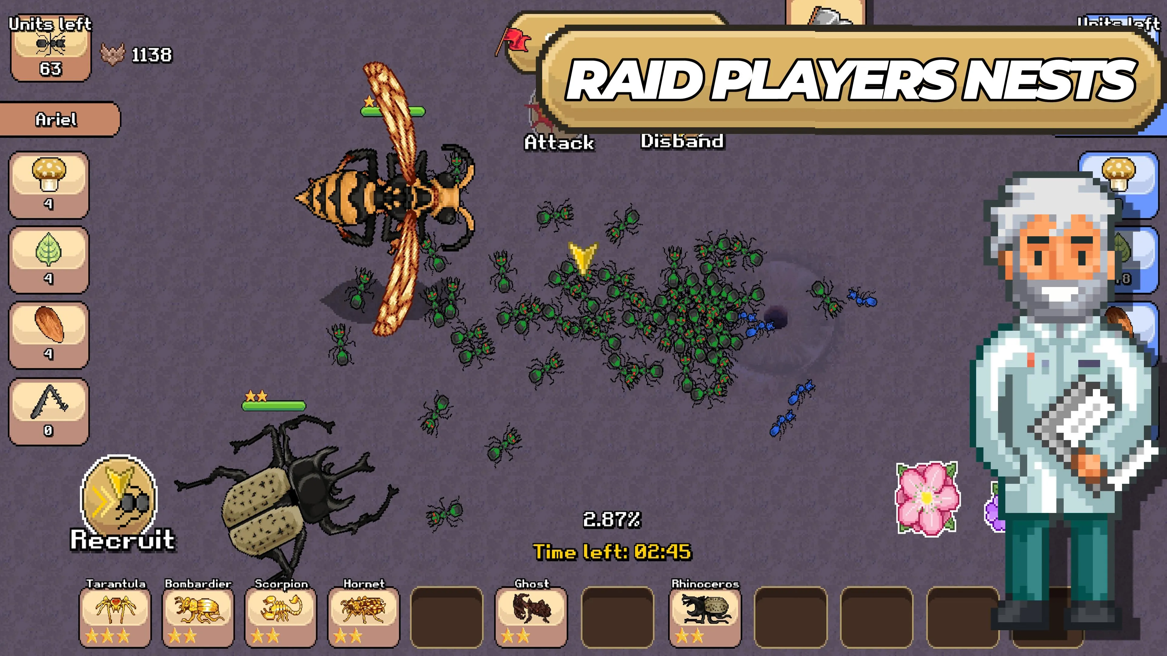 23887 pocket ants tarantula acquisition