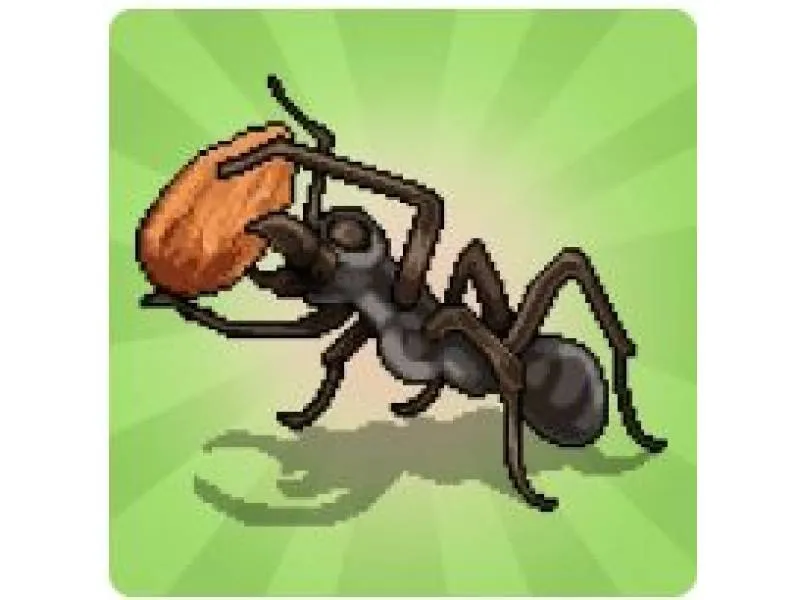 23887 pocket ants tarantula defense
