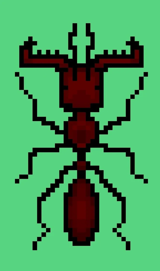 /img/23887-pocket-ants-tarantula-upgrade.webp