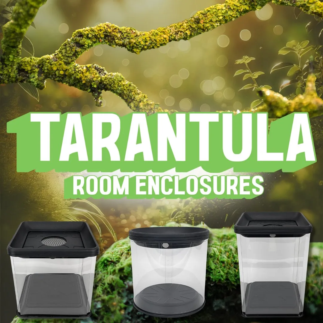 23890 tarantula enclosure accessories