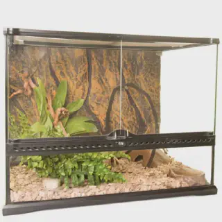 /img/23890-tarantula-enclosure-setup.webp