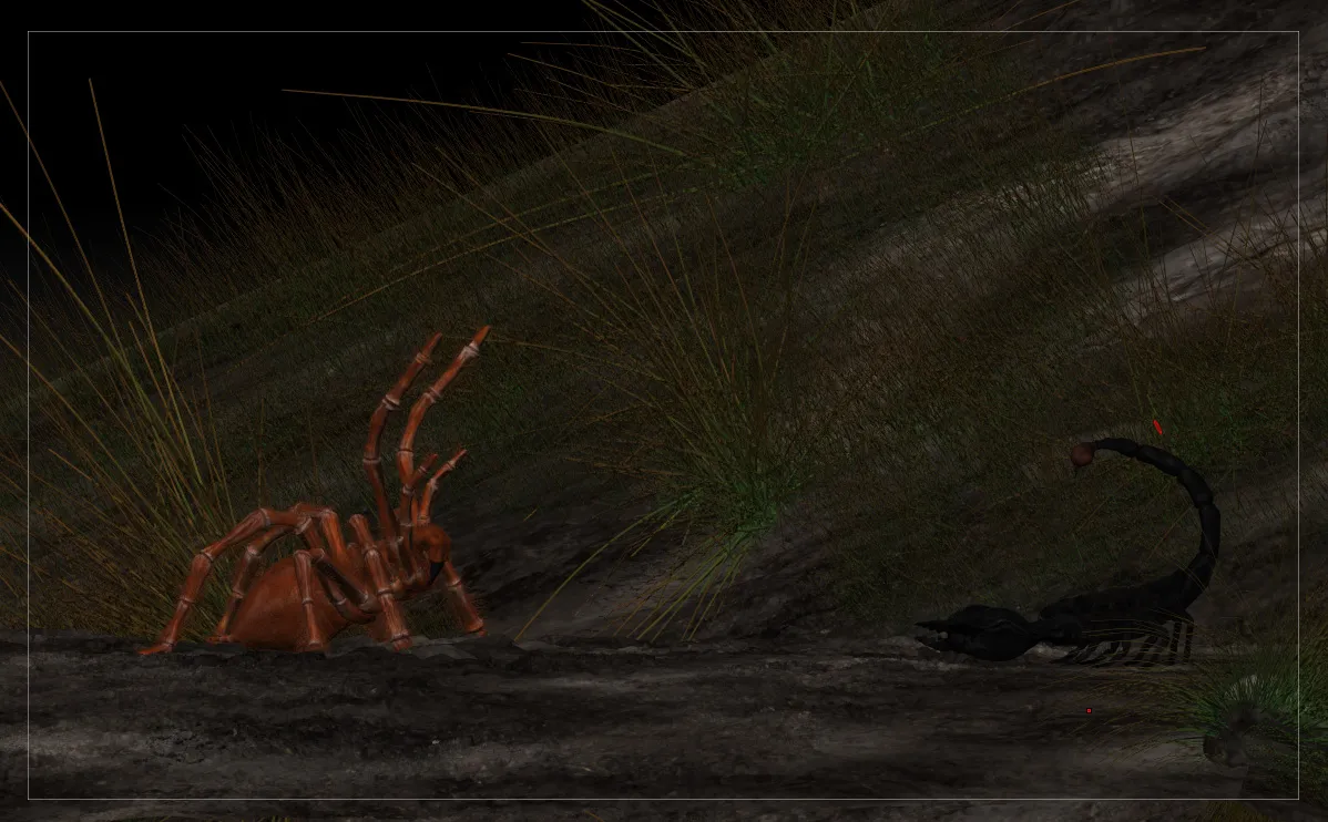 23892 tarantula habitat
